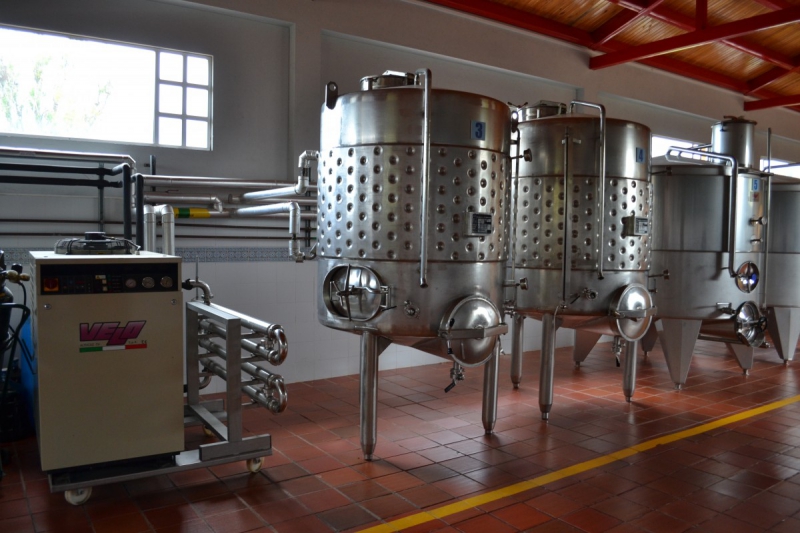 cave-ROQUEBILLIERE-min_wine_production_cantine_winery_drink_alcohol_vine_beverage-902036